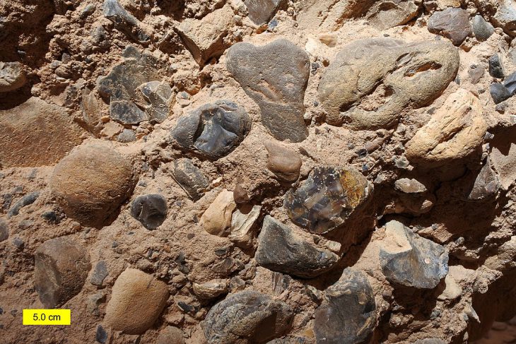 An example of smooth cobbles embedded in rock sediment. This is evidence of rocks carried by flowing water over time.