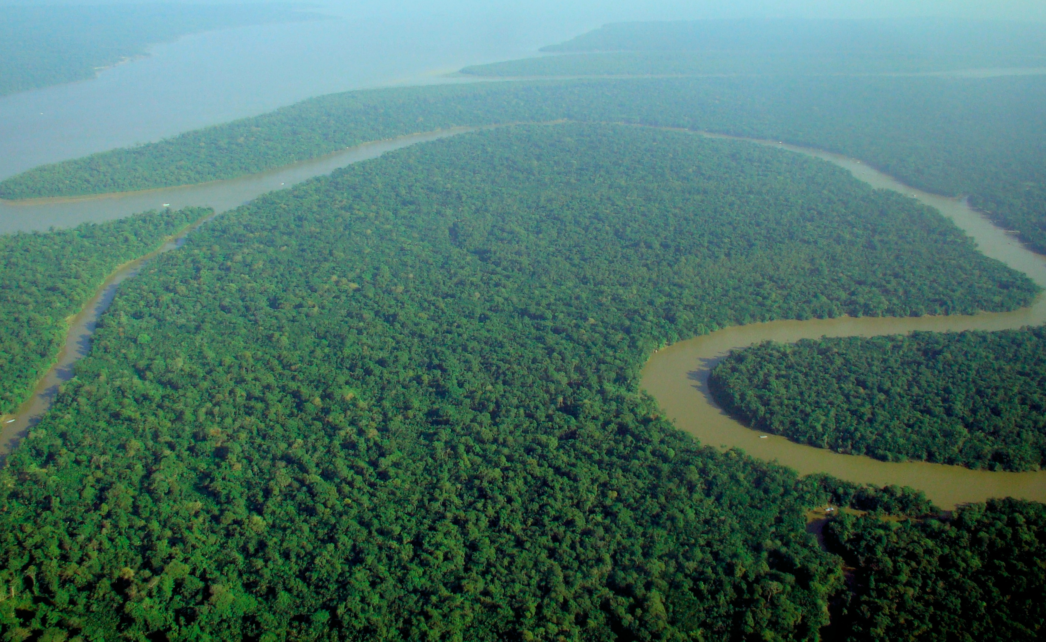 http://sciworthy.com/wp-content/uploads/2014/06/Aerial_view_of_the_Amazon_Rainforest.jpg