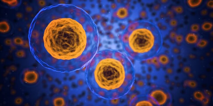 Cancer cells