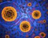 Cancer cells