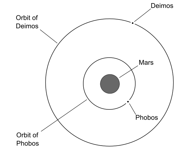 Phobos orbits Mars around 3,700 miles or 6,000 kilometers above Mars’ surface and is slowly falling towards it. Deimos orbits 14,600 miles or 23,500 kilometers from Mars.