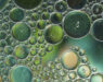 Dark green different abstract bubbles texture, from freepik