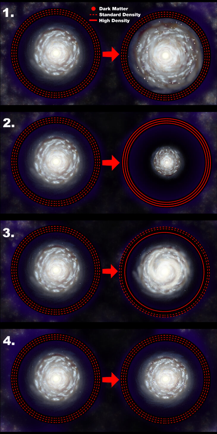 This diagram showcases the team’s results separated into 4 broad scenarios. The left column depicts a default galaxy under the baseline parameters. The right column depicts how the galaxies changed when the team varied a single experimental factor, including 1) increasing how fast the dark matter halo spun, 2) increasing the total density of the dark matter halo, 3) increasing the density of dark matter in the innermost halo, and 4) increasing the ratio of regular matter to dark matter in the entire galaxy. The dark matter haloes are represented as red rings surrounding the galaxies, not to scale. Illustration by Andrew Bizal.